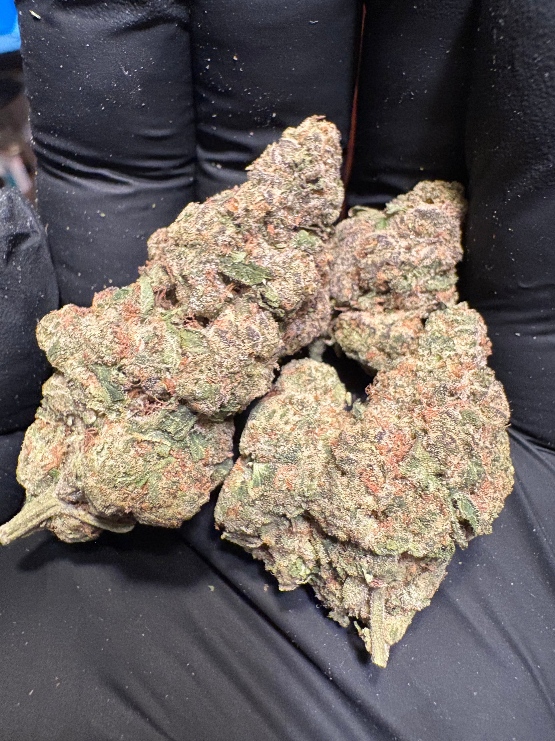 Guava Cookies 35.72% THCa Hemp Flower