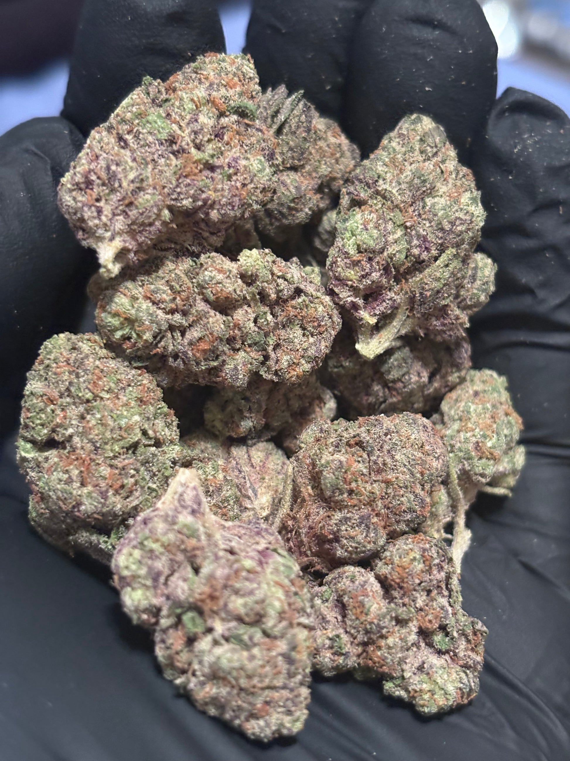 Pineapple Punch 41.87% THCa Hemp Flower (Exotic Indoor) Sativa