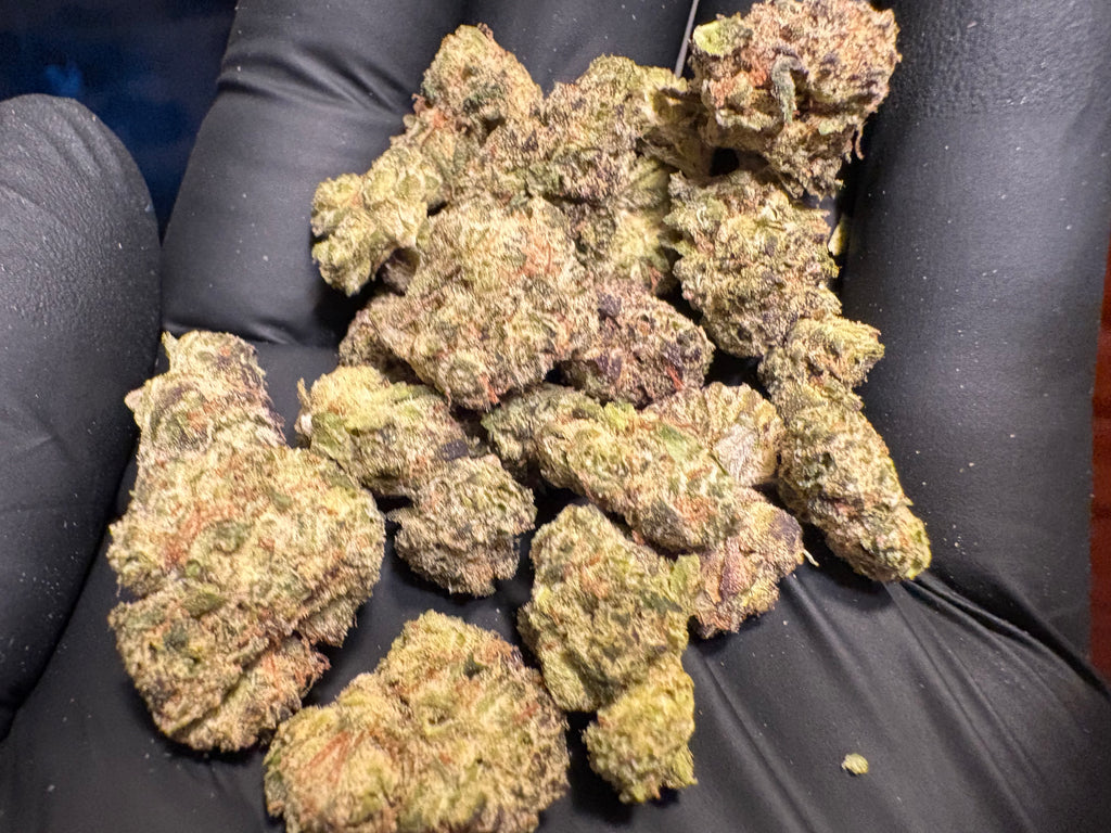 Gumbo ~ smalls 35.08% THCa Hemp Flower