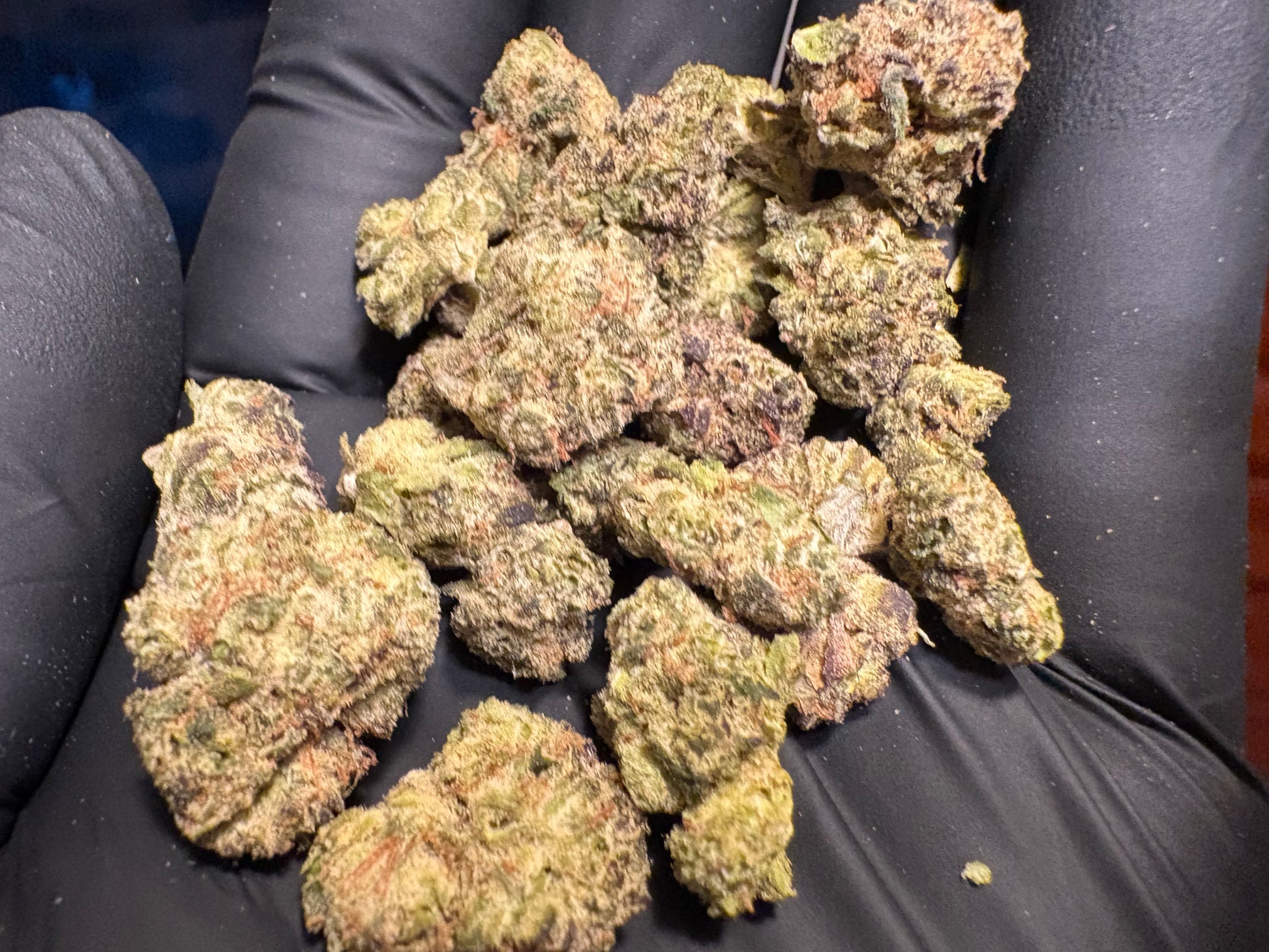 Gumbo ~ smalls 35.08% THCa Hemp Flower