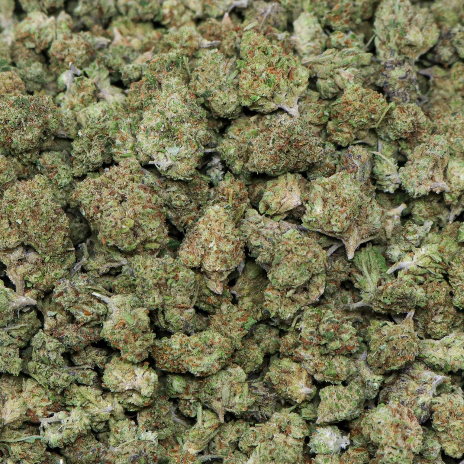 Mango Crack ~ Smalls 35% THCa Hemp Flower (Indoor) Sativa