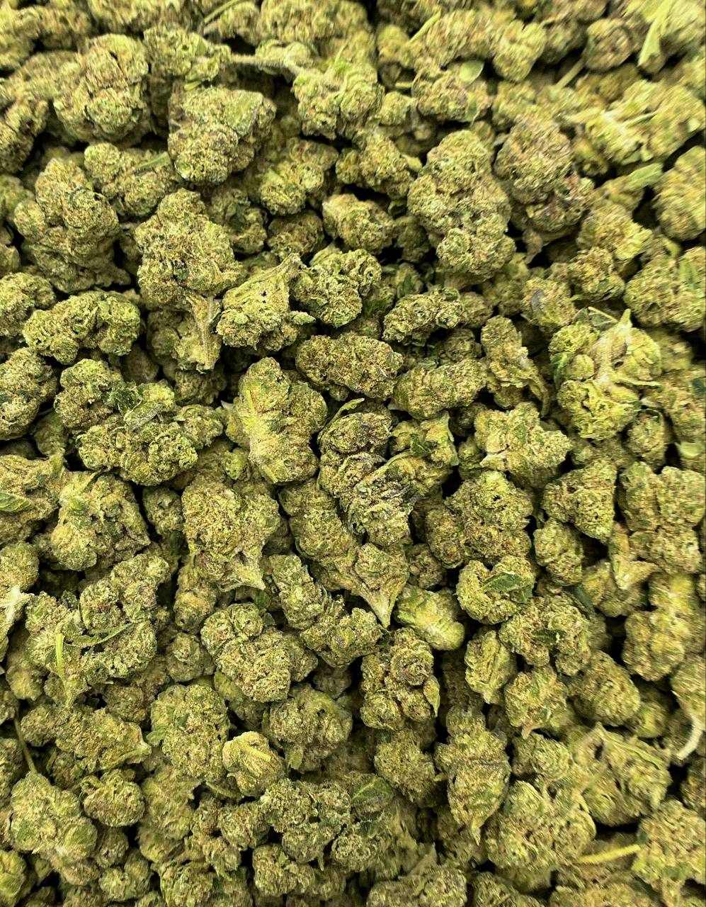Grape Gas 33.377% THCa Hemp Flower 1.25 grams Pre-rolls