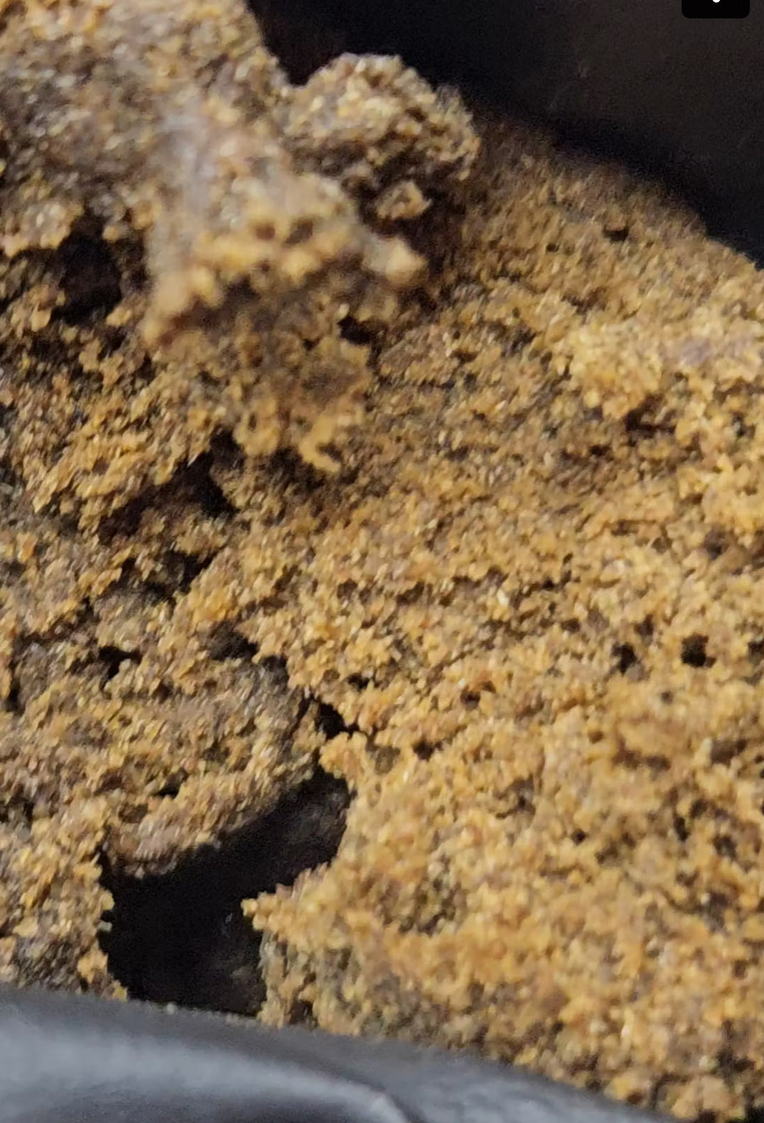 Dante’s Inferno 75.59% THCa Hemp Bubble Hash