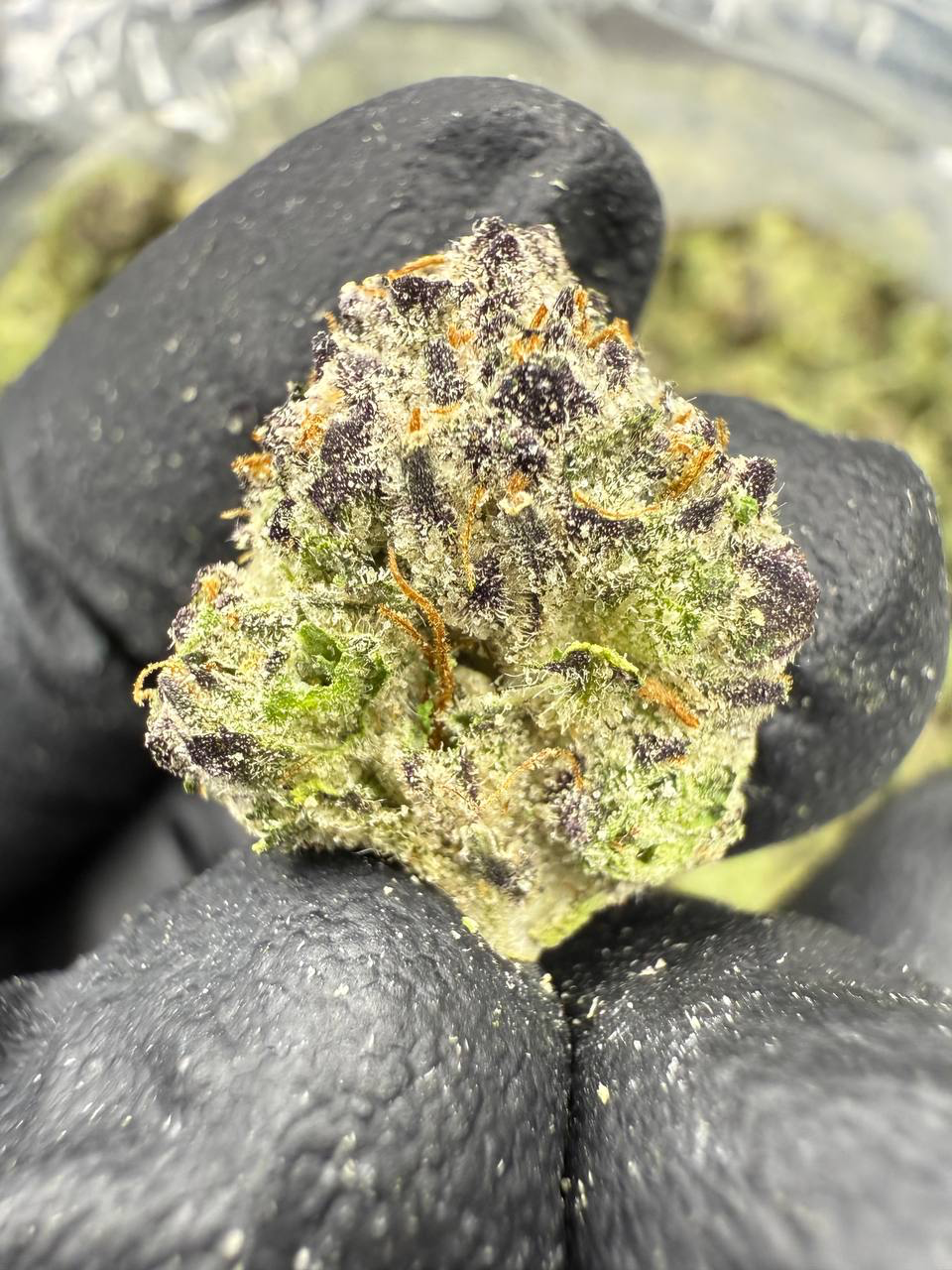 Gumbo ~ smalls 35.08% THCa Hemp Flower