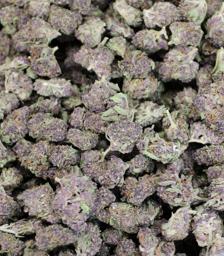 Tropicana Cherry ~ Mediums 33.80% THCa Hemp Flower (Greenhouse) Hybrid