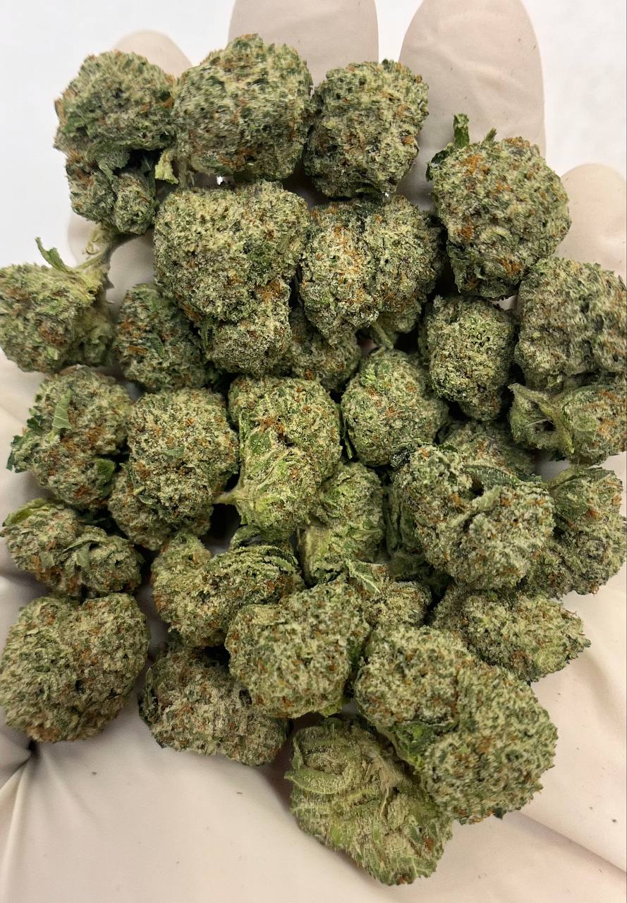 Royal Cherry Diesel ~ Mediums ~ 32.639% THCa Hemp Flower