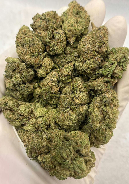 Direct Energy Weapon 31.31% THCa Hemp Flower