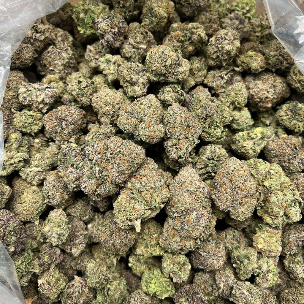 Churro Gelato 33.06% THCa Hemp Flower