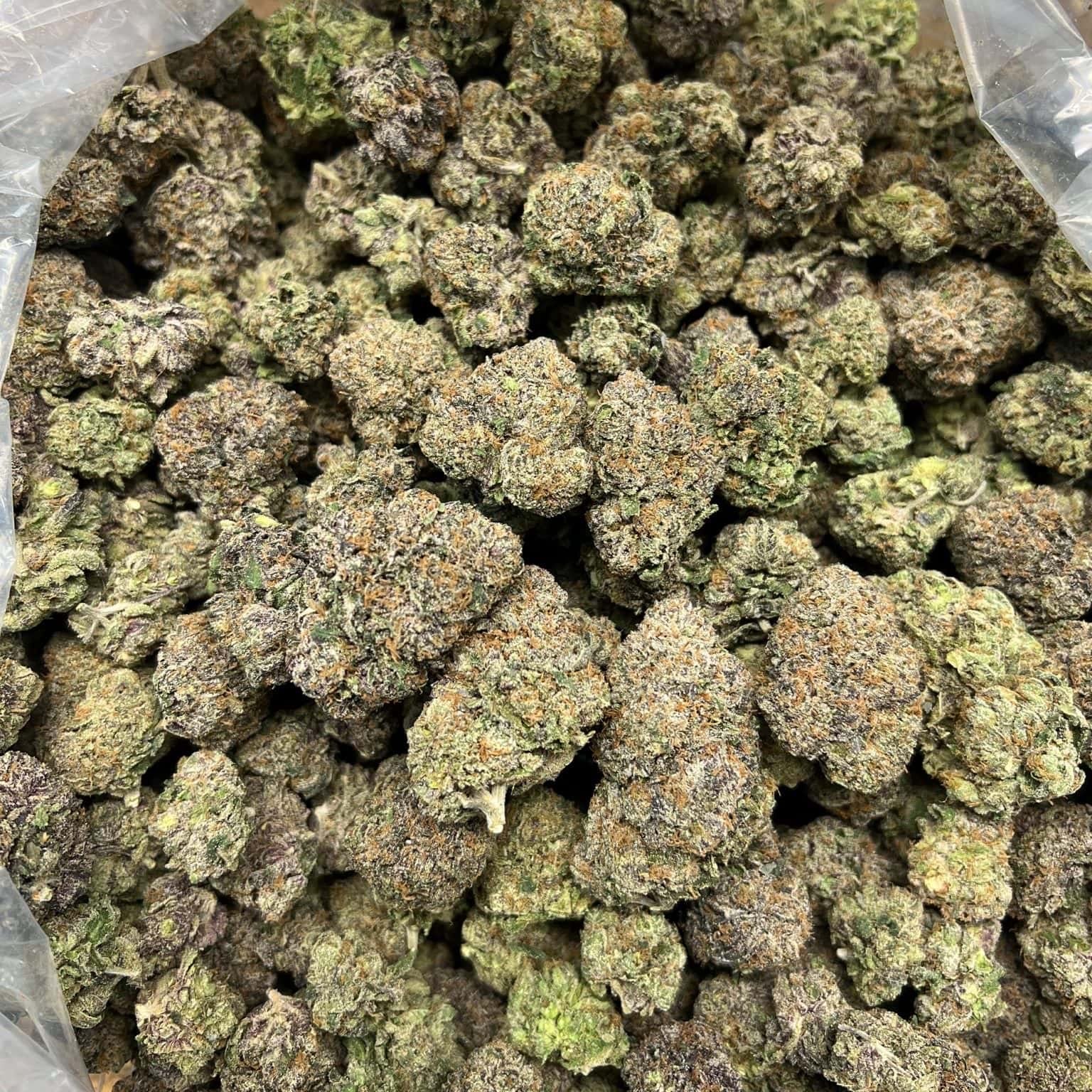 Churro Gelato 33.06% THCa Hemp Flower