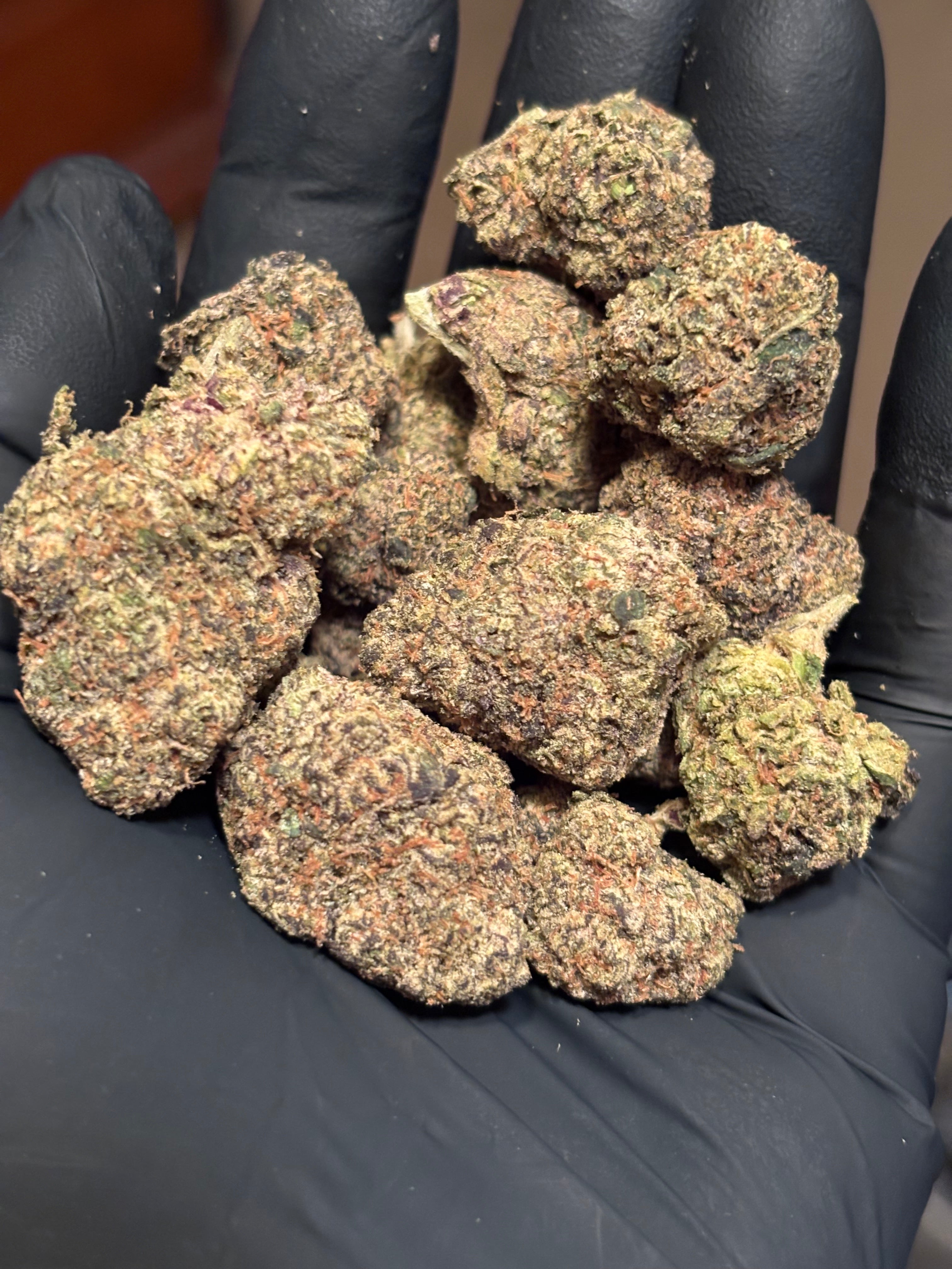 Churro Gelato 33.06% THCa Hemp Flower (Exotic Indoor) Hybrid