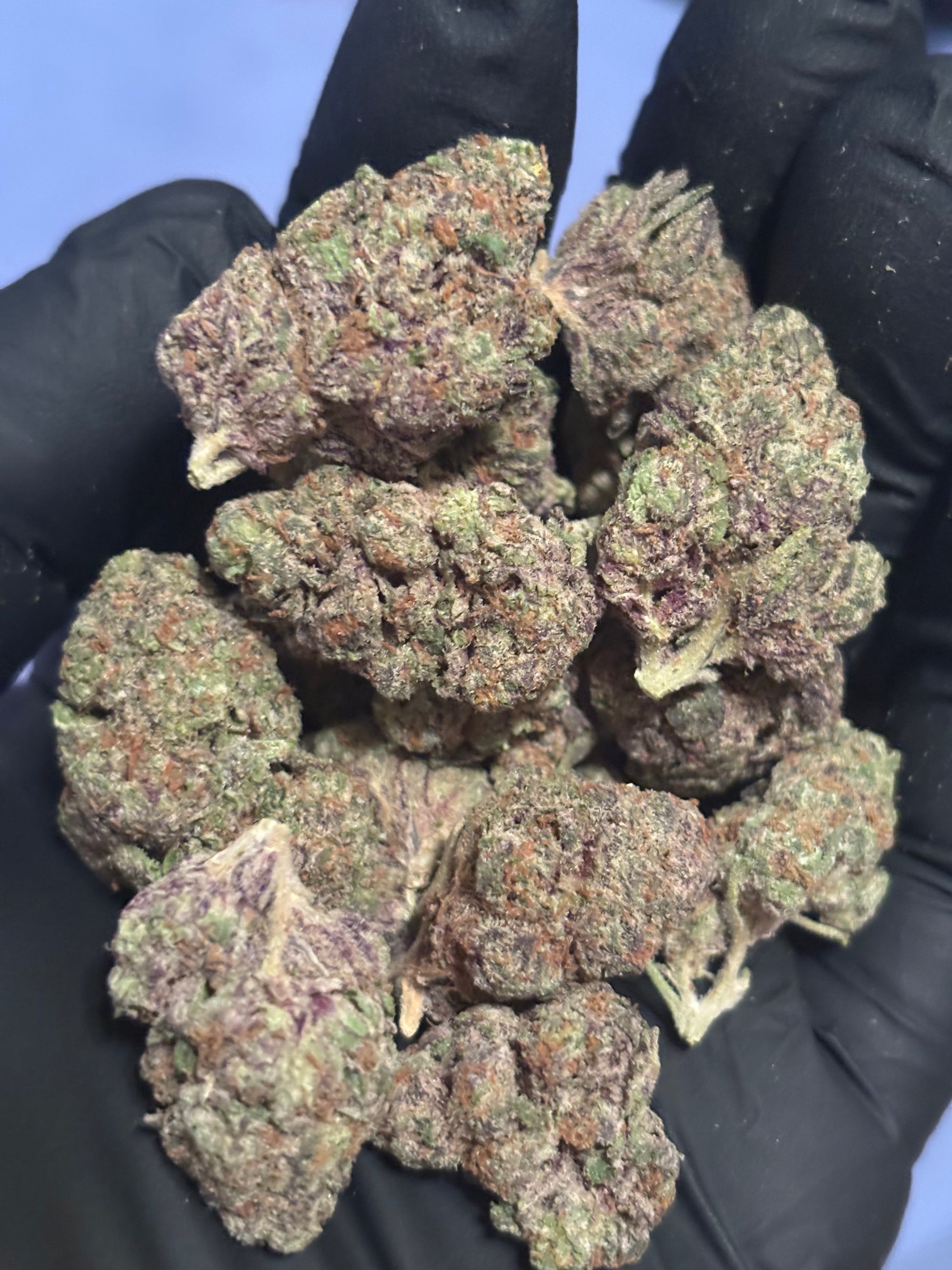 Pineapple Punch 41.87% THCa Hemp Flower (Exotic Indoor) Sativa