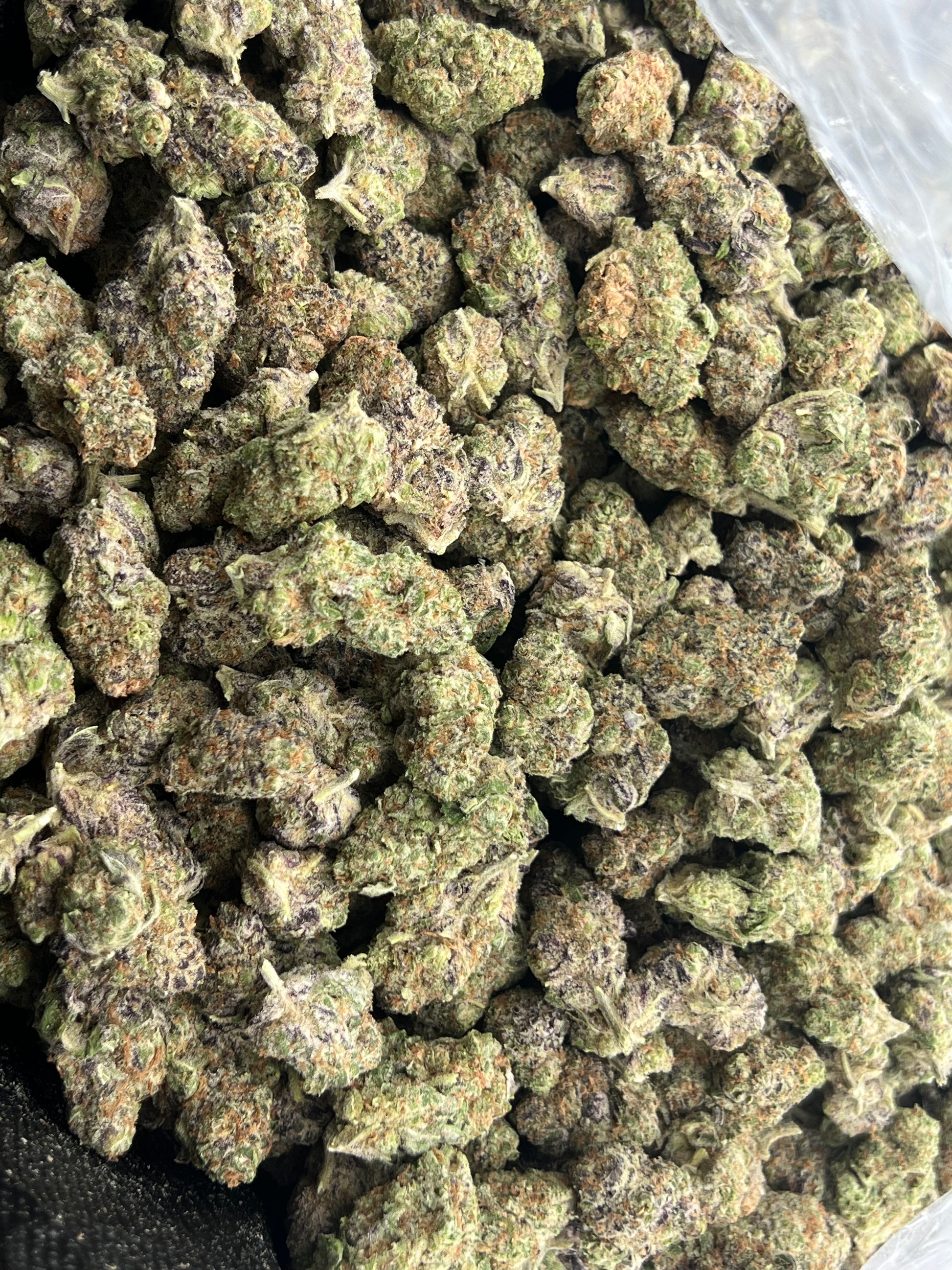 Money Maker ~ smalls/med 37.98% THCa Hemp Flower (Exotic Indoor) Indica