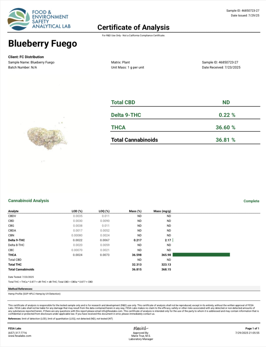 Blueberry Fuego ~ Smalls 36% THCa Hemp Flower (Indoor) Sativa
