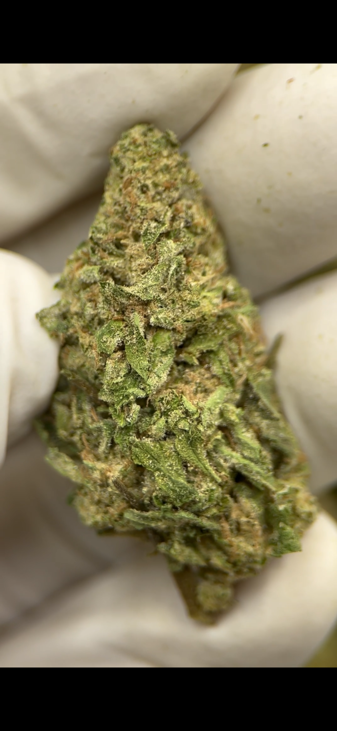 Direct Energy Weapon 31.31% THCa Hemp Flower