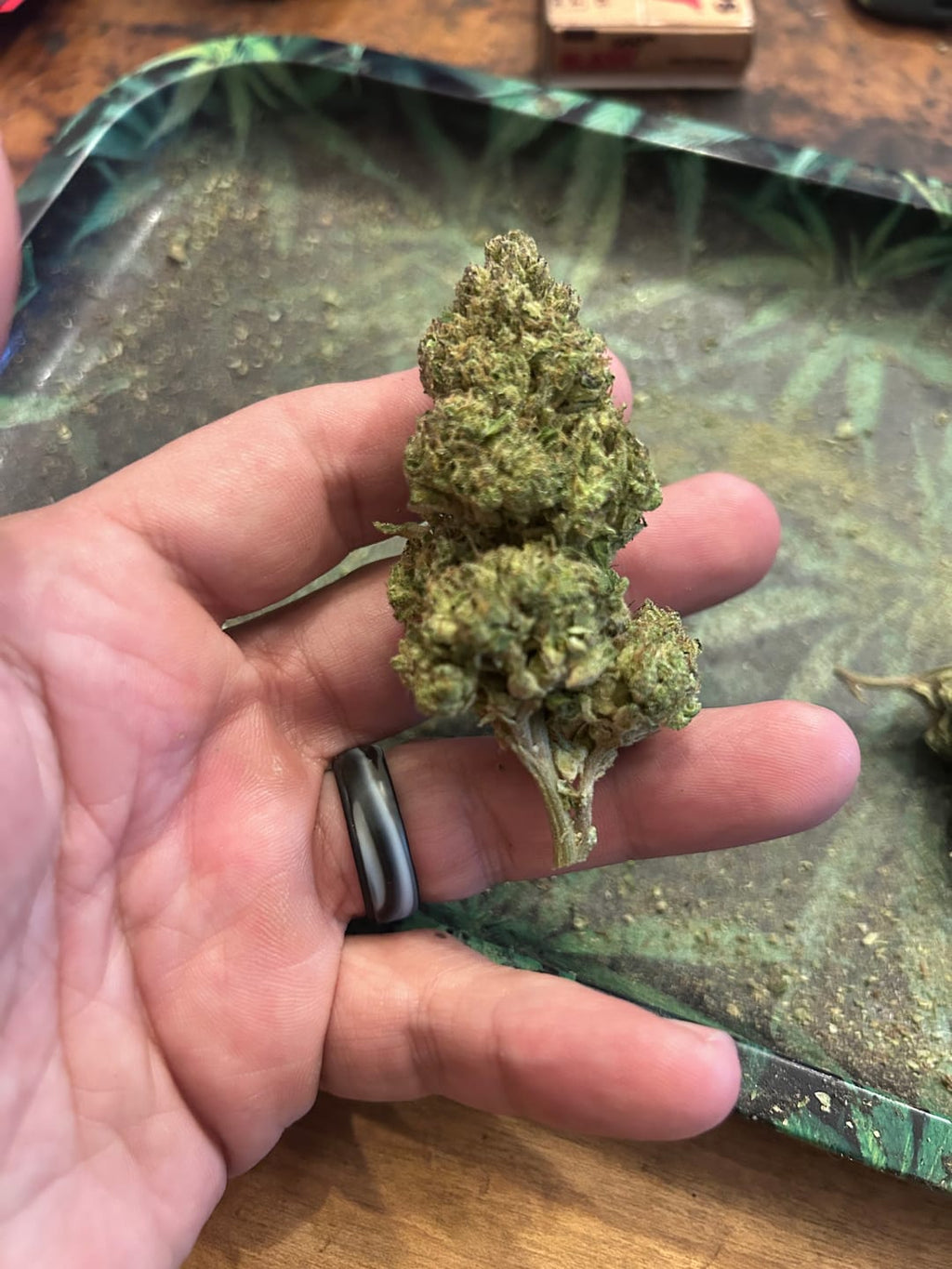 Gorilla Glue #4 ~ 34% THCa Hemp Flower (Greenhouse) Indica