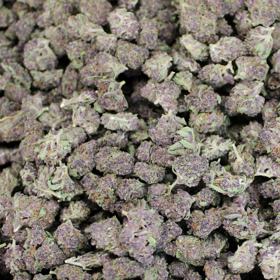 Tropicana Cherry ~ Mediums 33.80% THCa Hemp Flower (Greenhouse) Hybrid