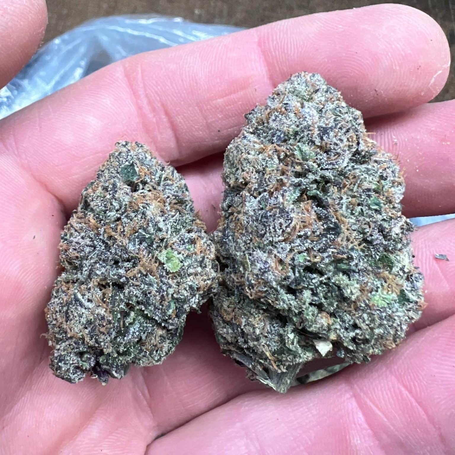 Churro Gelato 33.06% THCa Hemp Flower