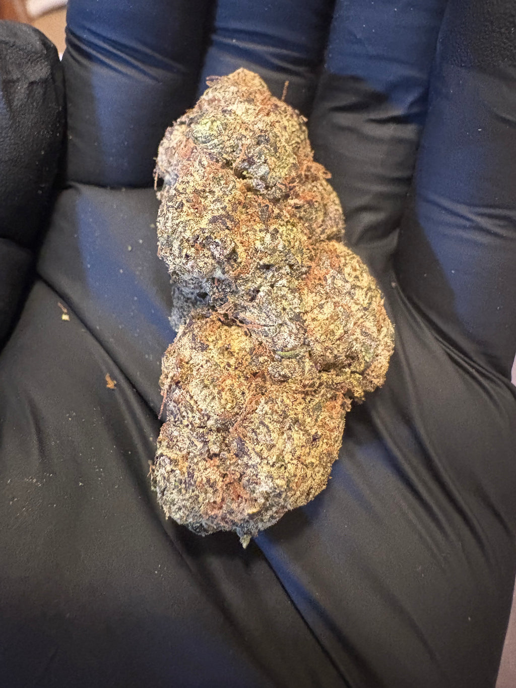 Churro Gelato 33.06% THCa Hemp Flower