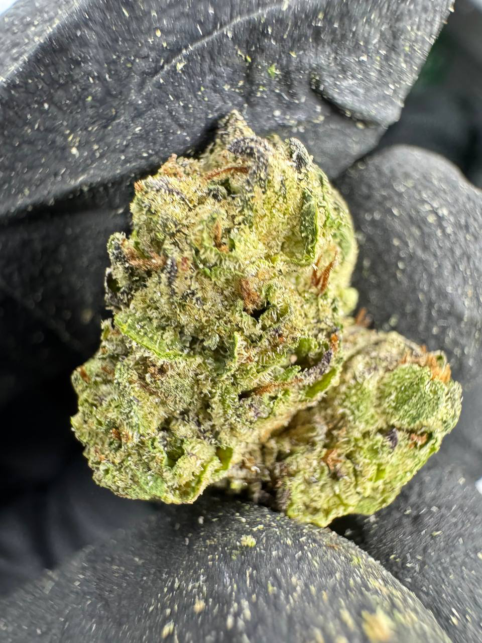 Black Runtz ~ Smalls 30.56% THCa Hemp Flower (Indoor) Indica Hybrid