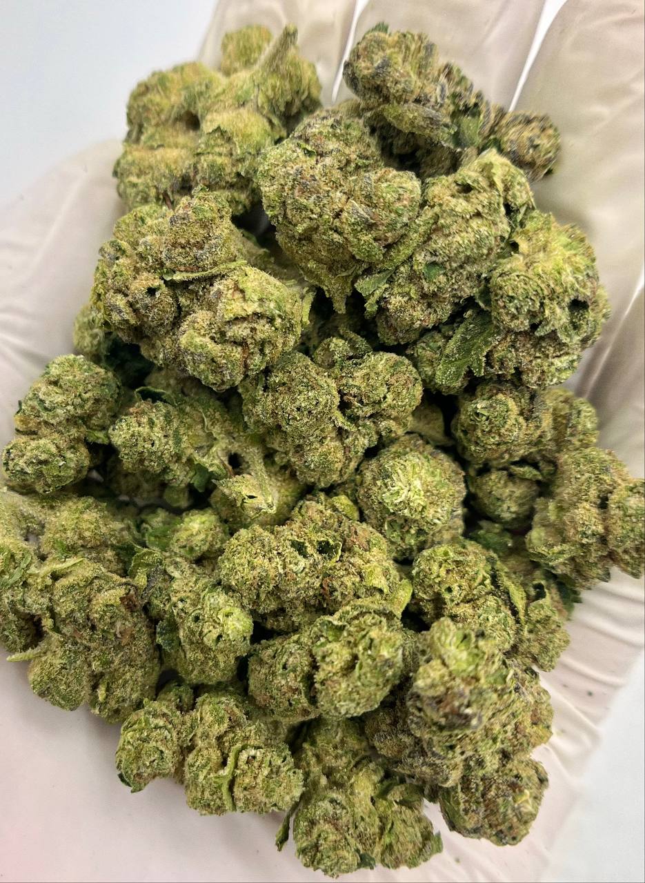 Royal Cherry Diesel 32.639% THCa Hemp Flower 1.25 grams Pre-rolls