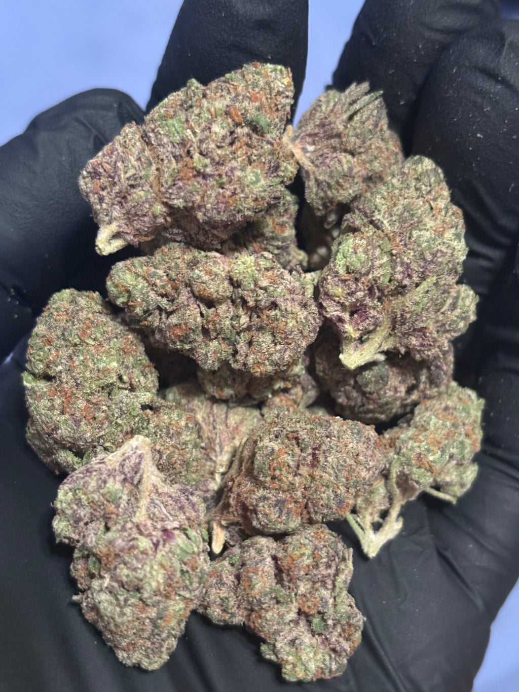 Pineapple Punch 41.87% THCa Hemp Flower (Exotic Indoor) Sativa