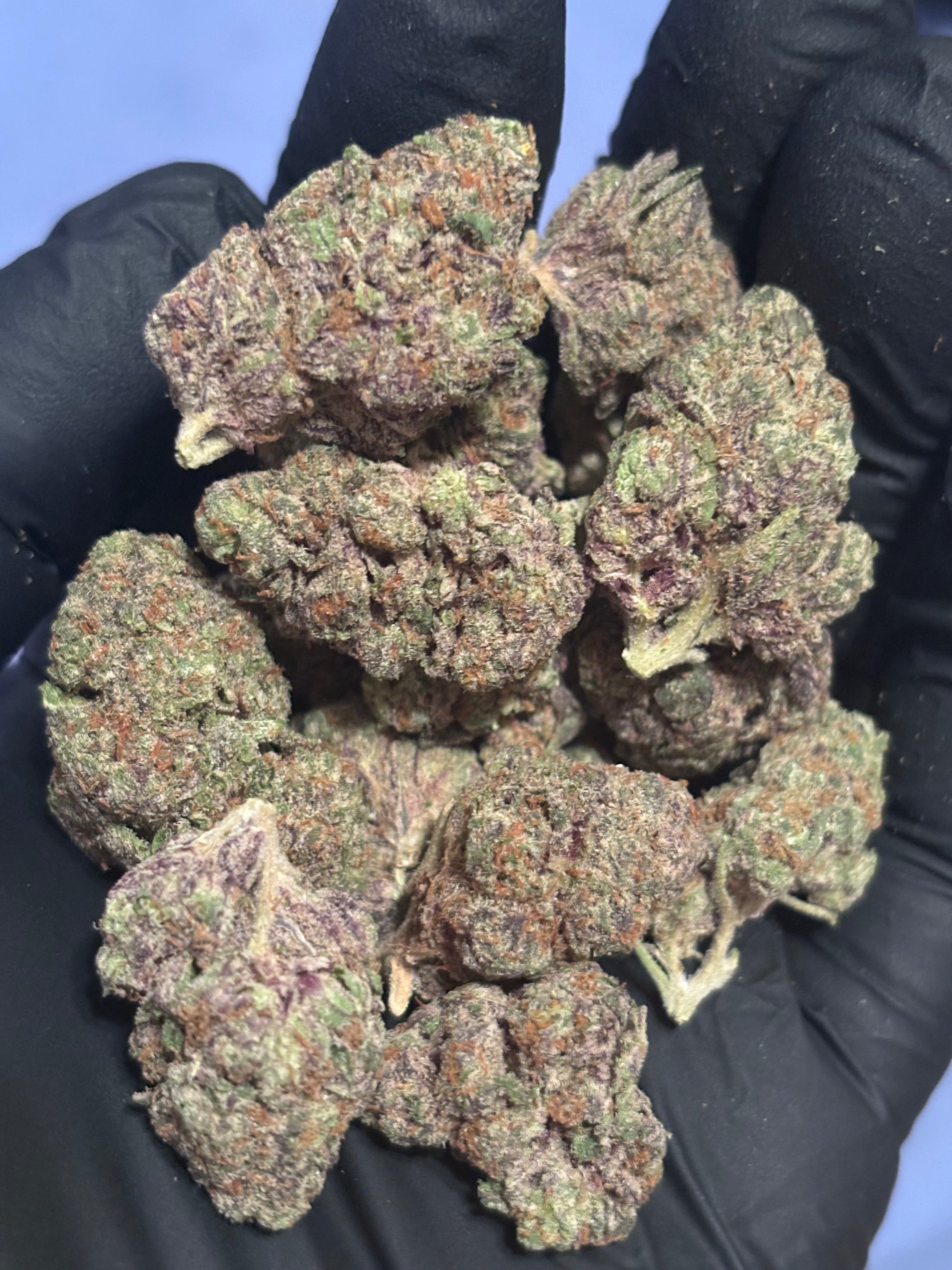 Pineapple Punch 41.87% THCa Hemp Flower (Exotic Indoor) Sativa