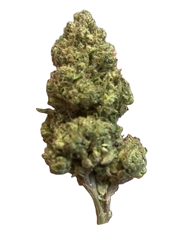 Gorilla Glue #4 ~ 34% THCa Hemp Flower (Greenhouse) Indica