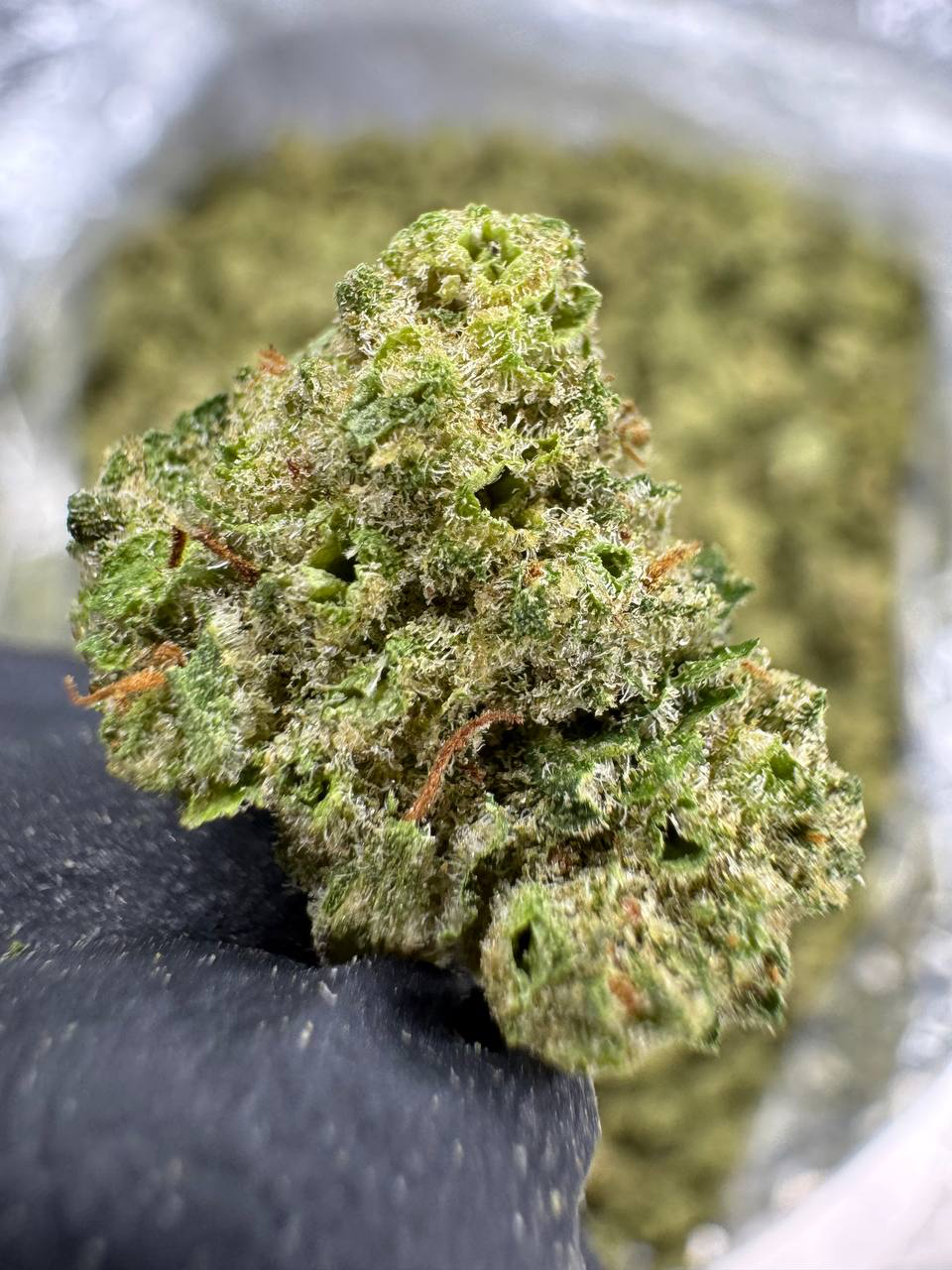 Gushers ~ Smalls 31.53% THCa Hemp Flower (Indoor) Indica Hybrid