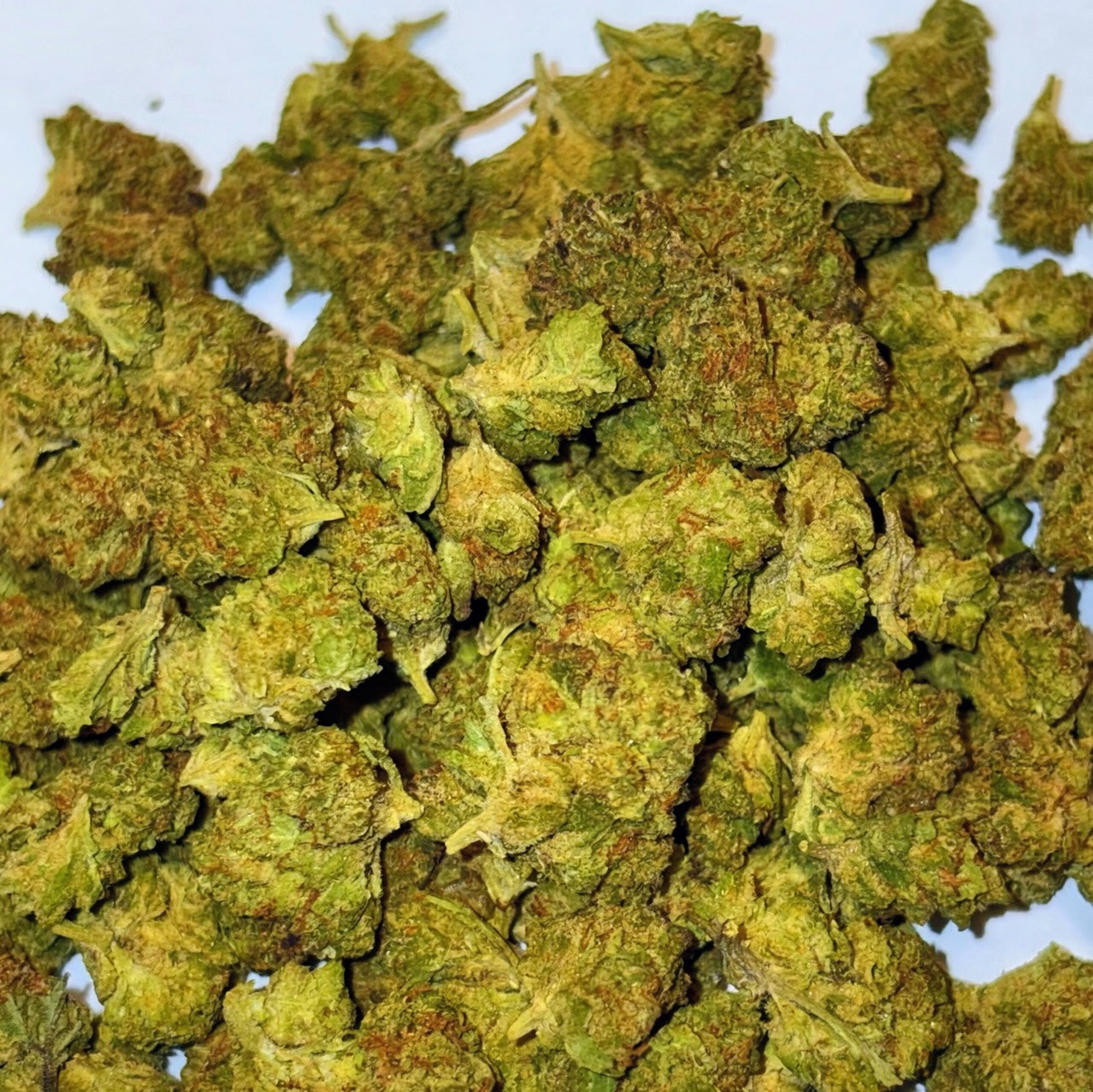 Gushers ~ Smalls 31.53% THCa Hemp Flower (Indoor) Indica Hybrid
