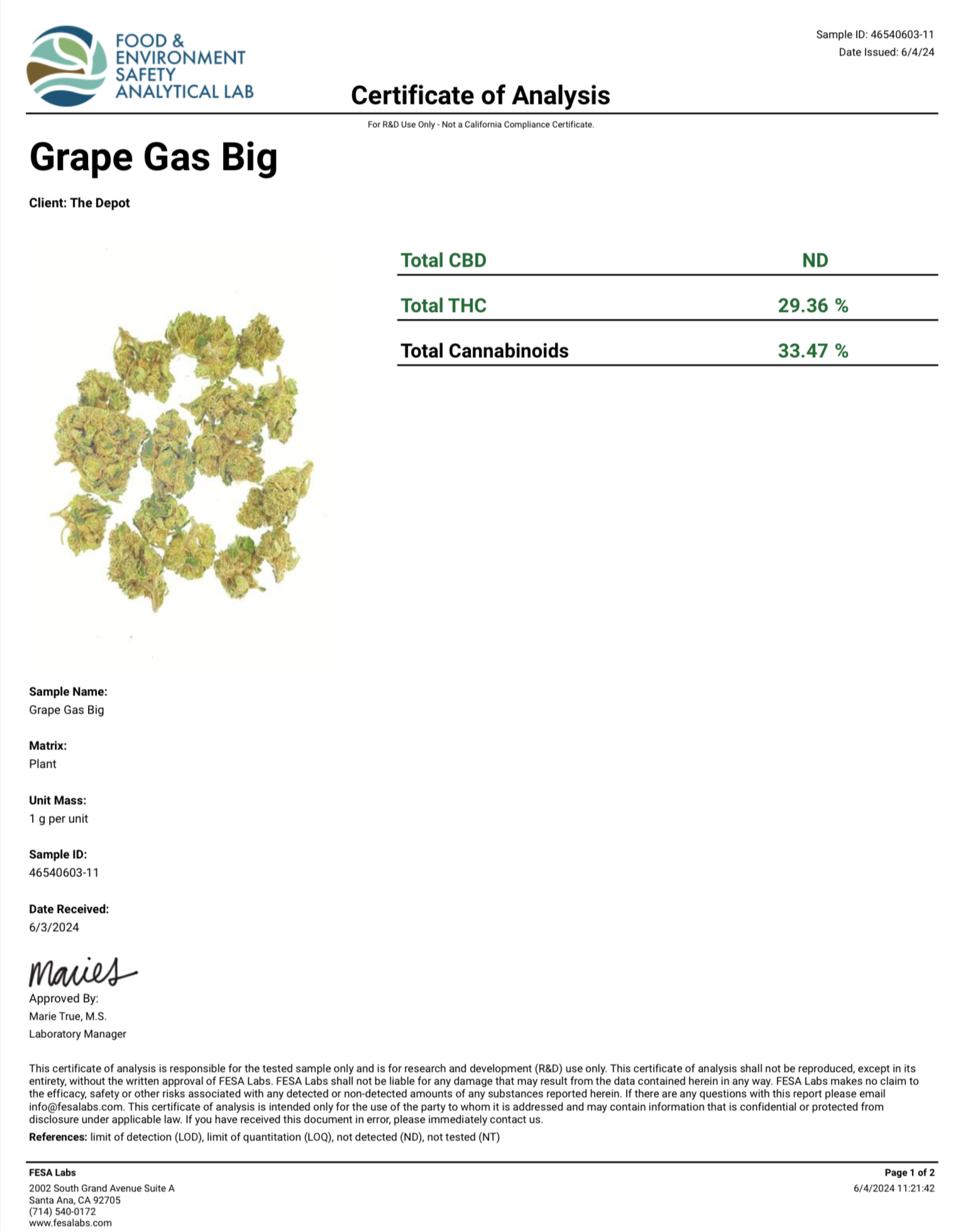 Grape Gas ~ Smalls 33.377% THCa Hemp Flower