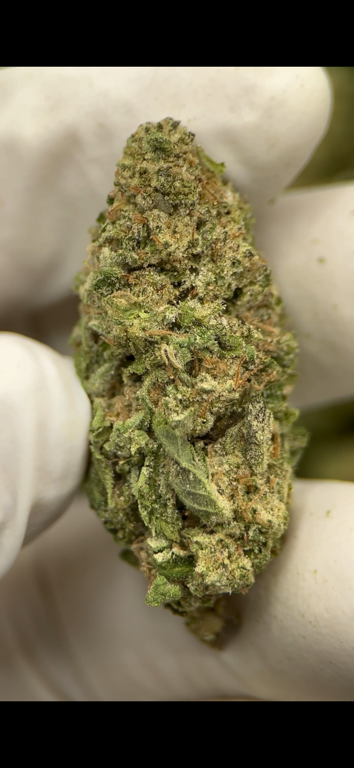 Direct Energy Weapon 31.31% THCa Hemp Flower