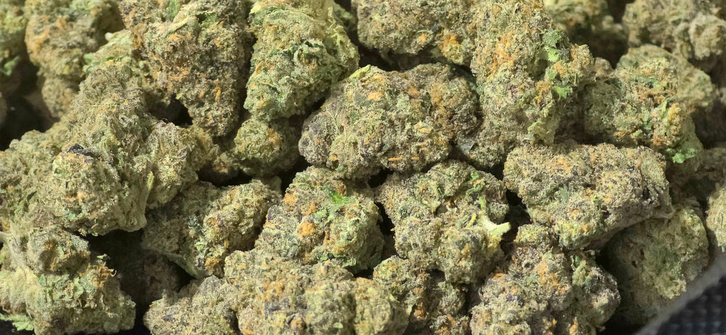Memory Loss 42.37% THCa Hemp Flower (Exotic Indoor PR) Sativa