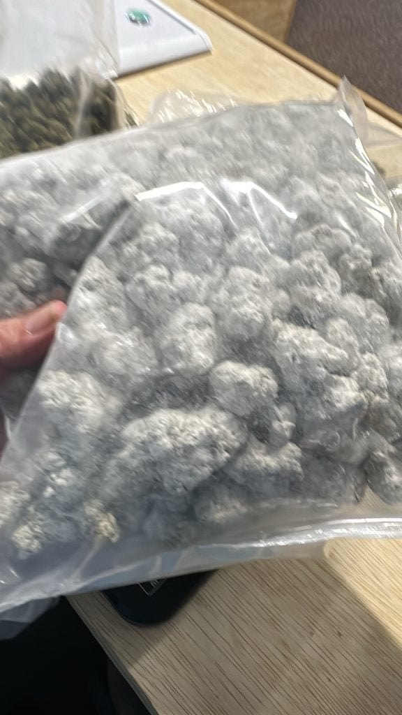 Tropicana Cherry 64.54% THCa Hemp Flower Snowcaps