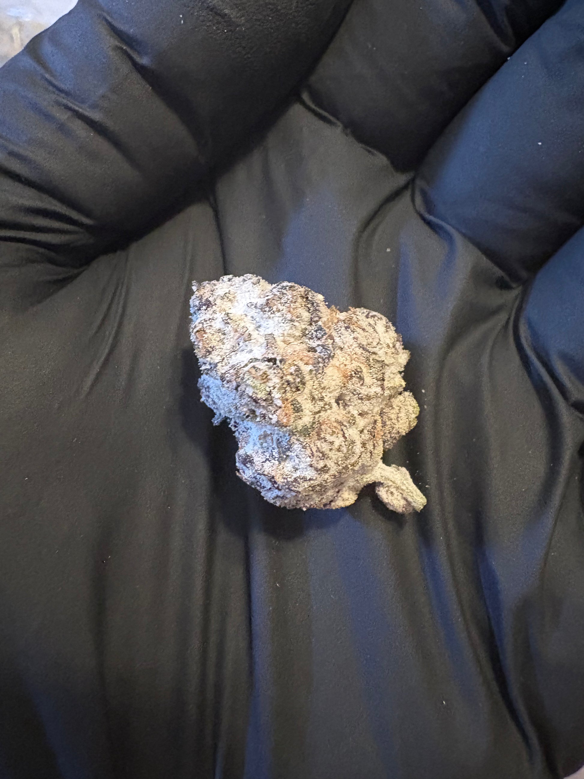 Tropicana Cherry 64.54% THCa Hemp Flower Snowcaps