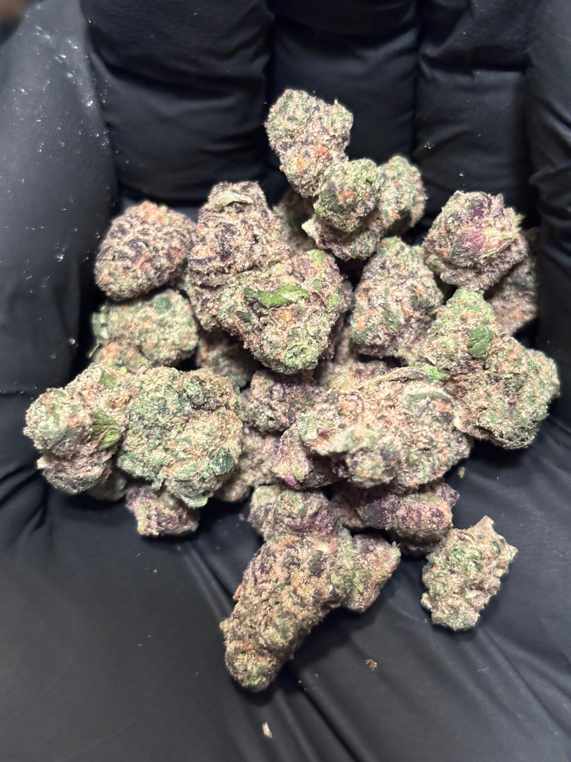 Cereal Milk ~ Smalls 36.18% THCa Flower (Exotic Indoor PR) Hybrid