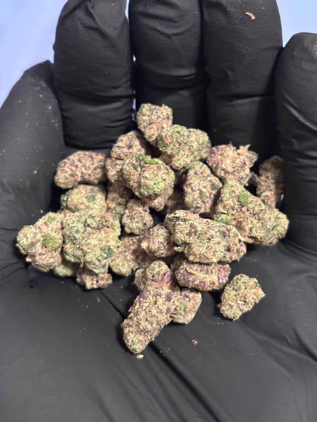 Cereal Milk ~ Smalls 36.18% THCa Flower (Exotic Indoor PR) Hybrid