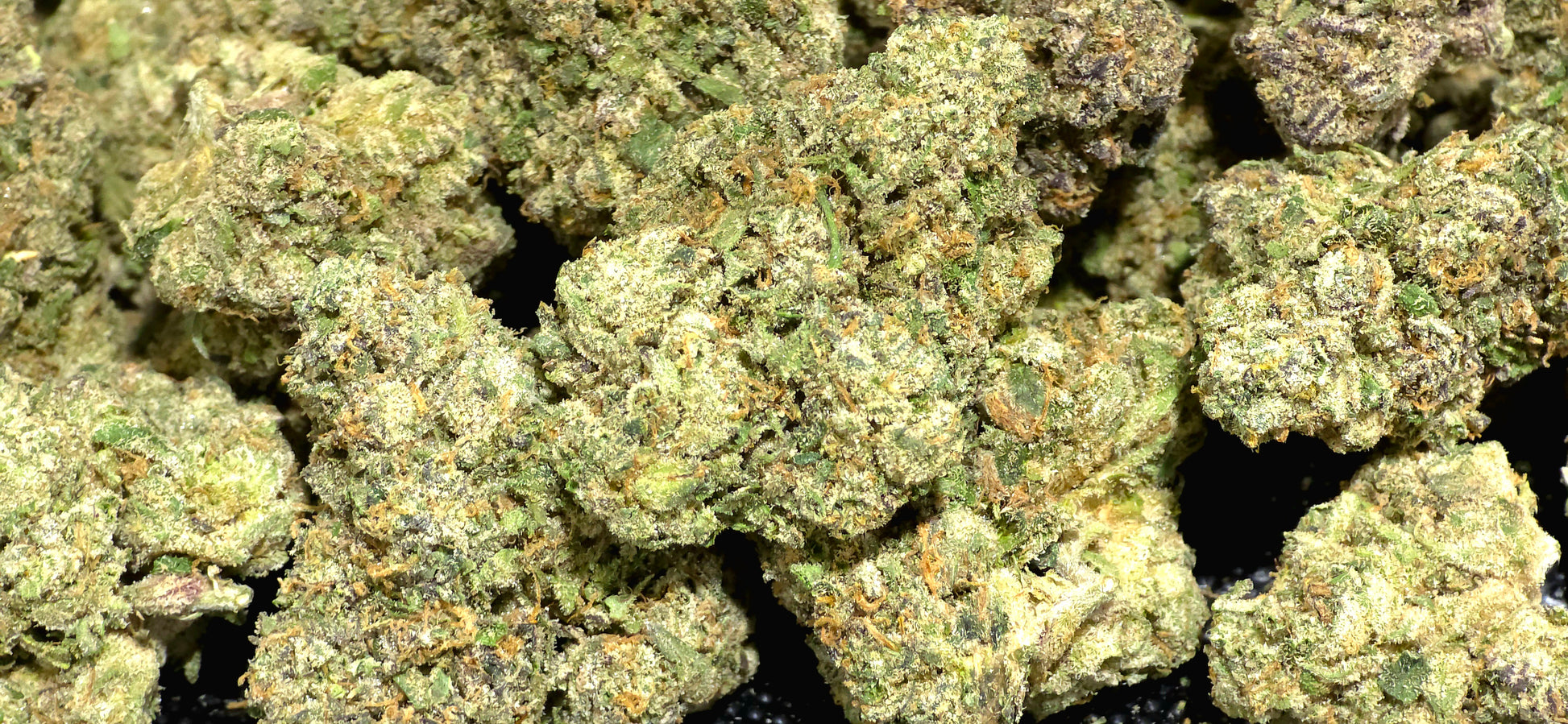 Sex Panther 41.50% THCa Hemp Flower (Exotic Indoor PR) Indica