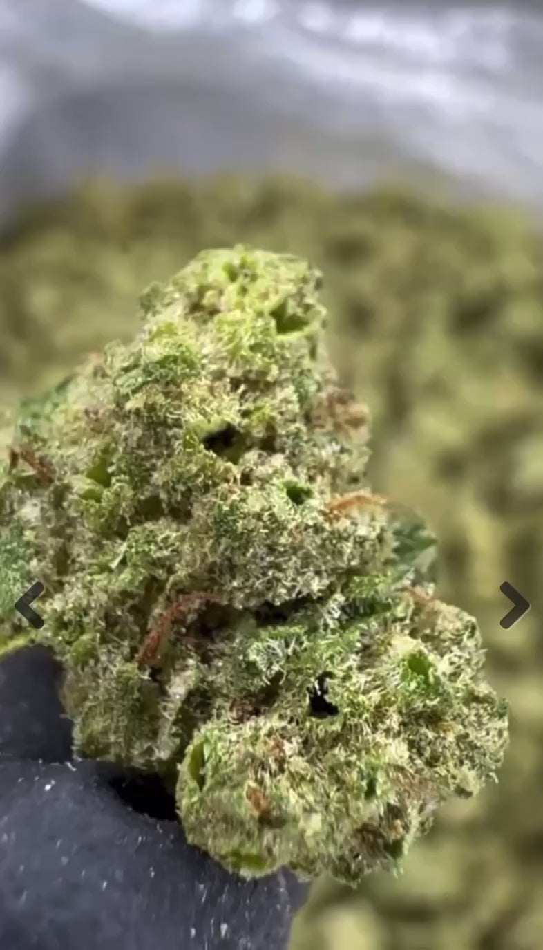 Gushers ~ Smalls 31.53% THCa Hemp Flower (Indoor) Indica Hybrid