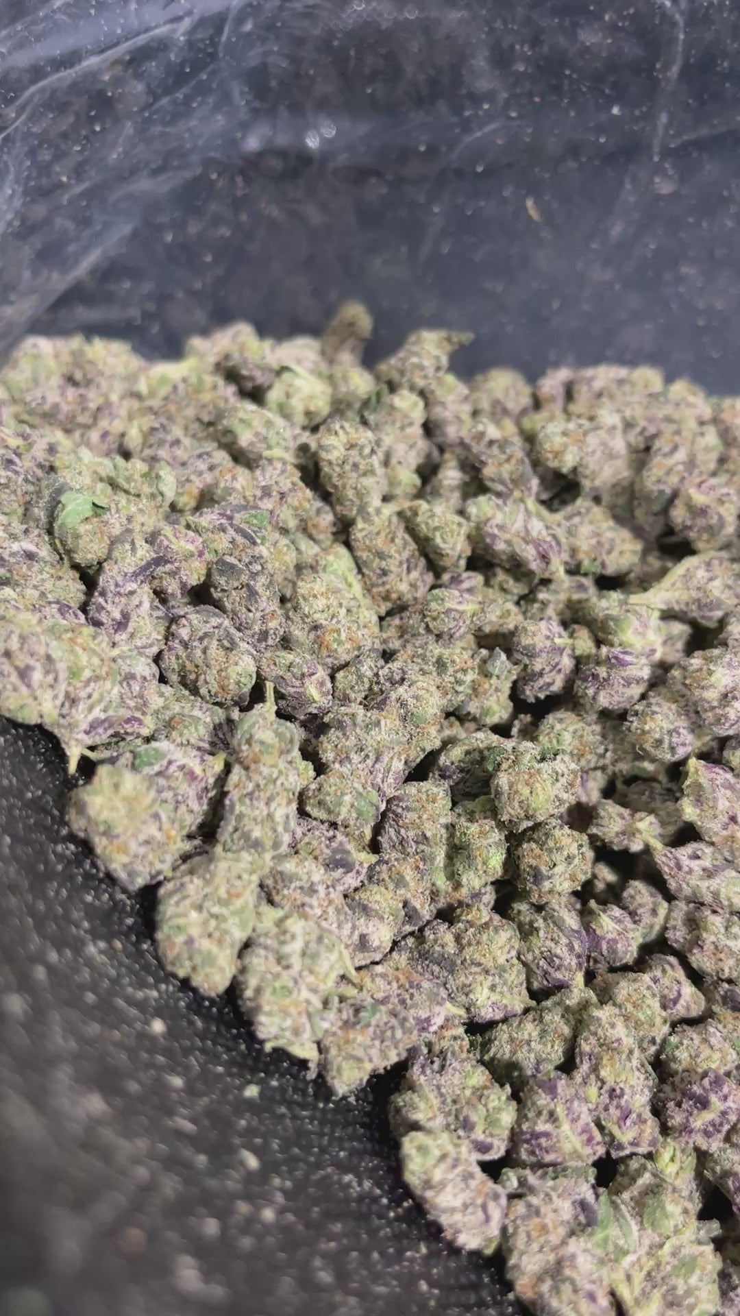 Pink Pineapple ~ smalls/med 36.52% THCa Hemp Flower (Exotic Indoor) Sativa