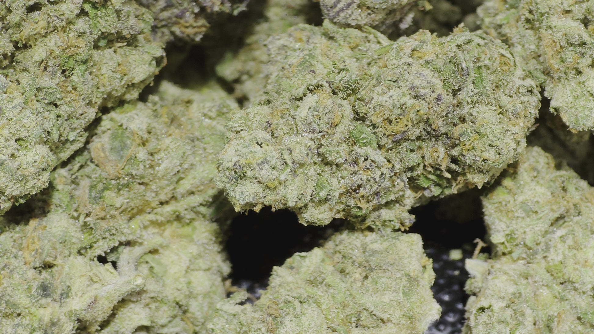 Sex Panther 41.50% THCa Hemp Flower (Exotic Indoor PR) Indica