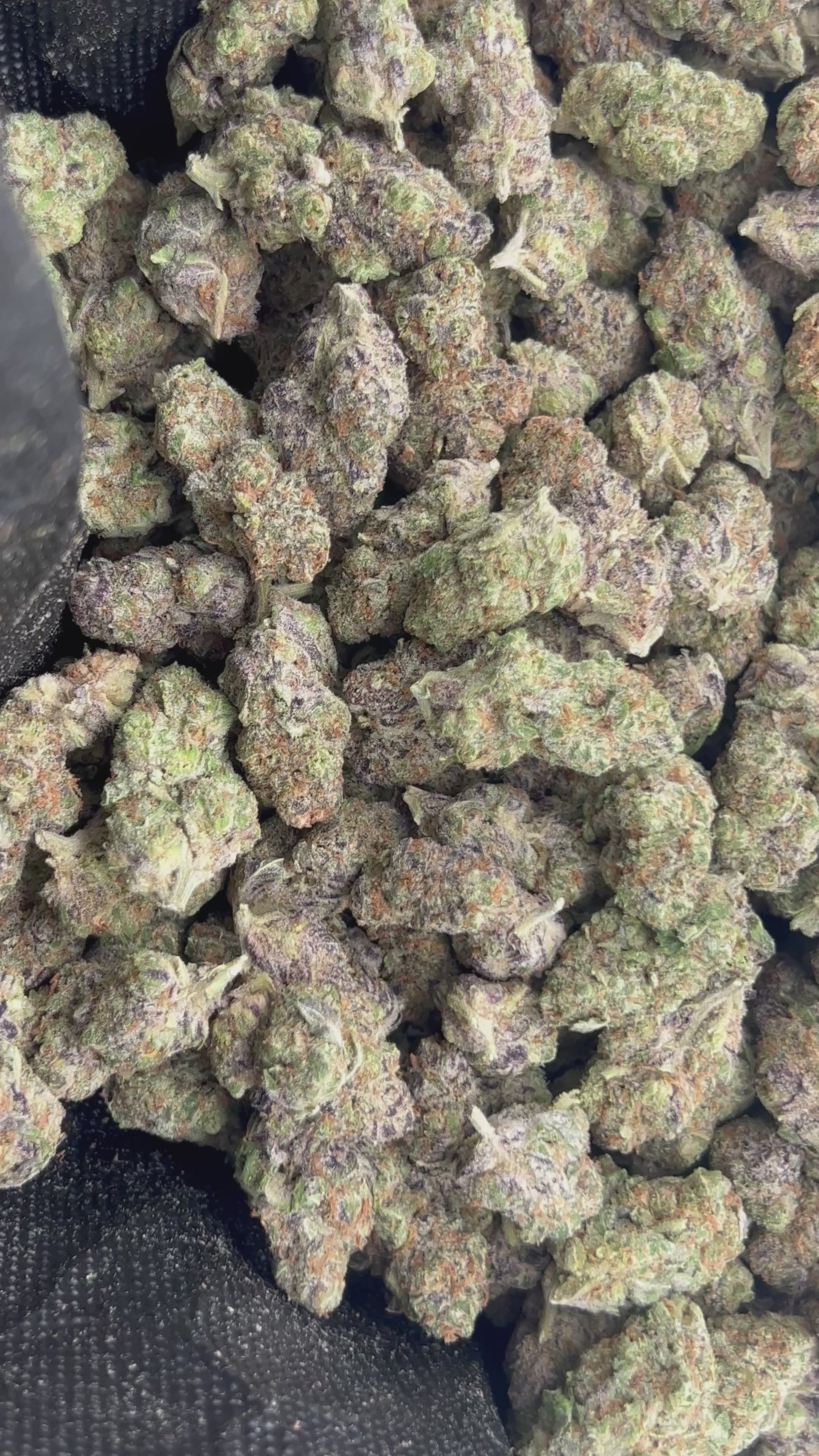 Money Maker ~ smalls/med 37.98% THCa Hemp Flower (Exotic Indoor) Indica